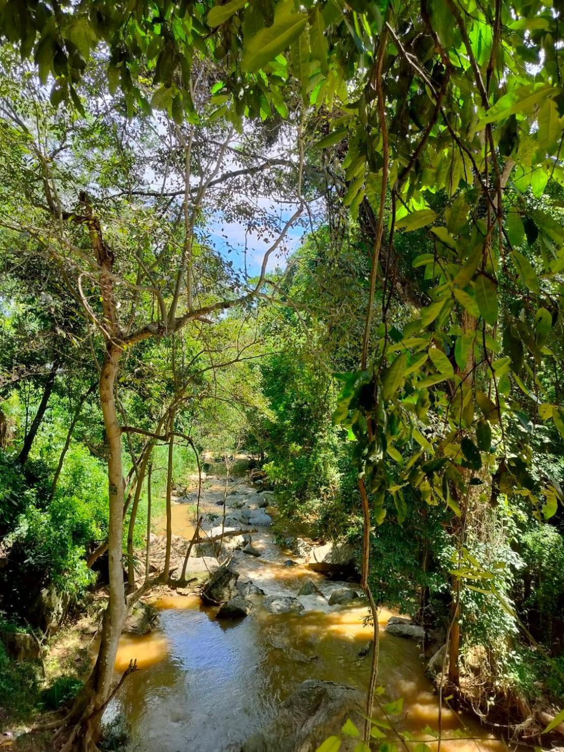 Maesa Greenery Hill Sha Mae Rim Luaran gambar
