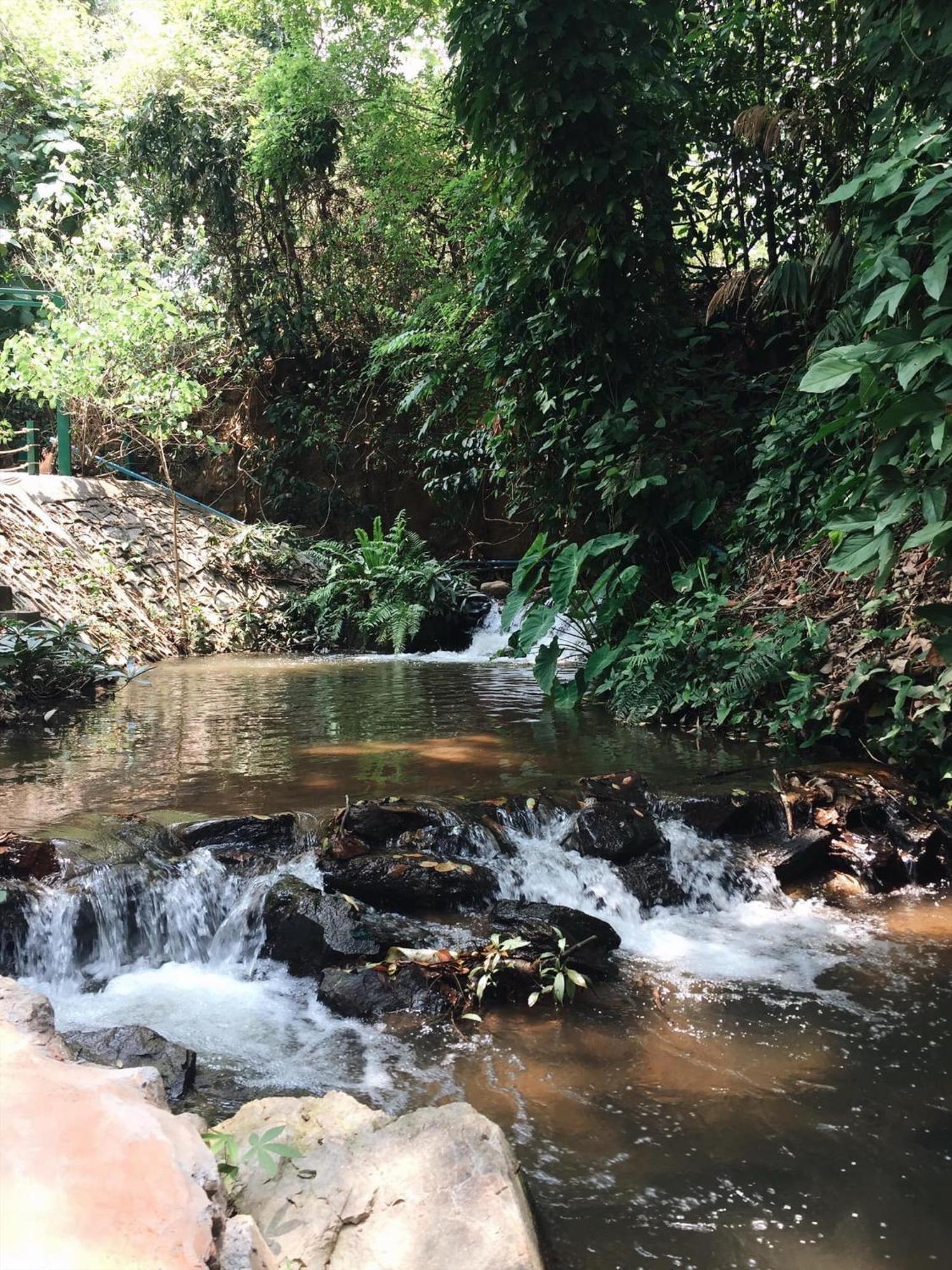 Maesa Greenery Hill Sha Mae Rim Luaran gambar