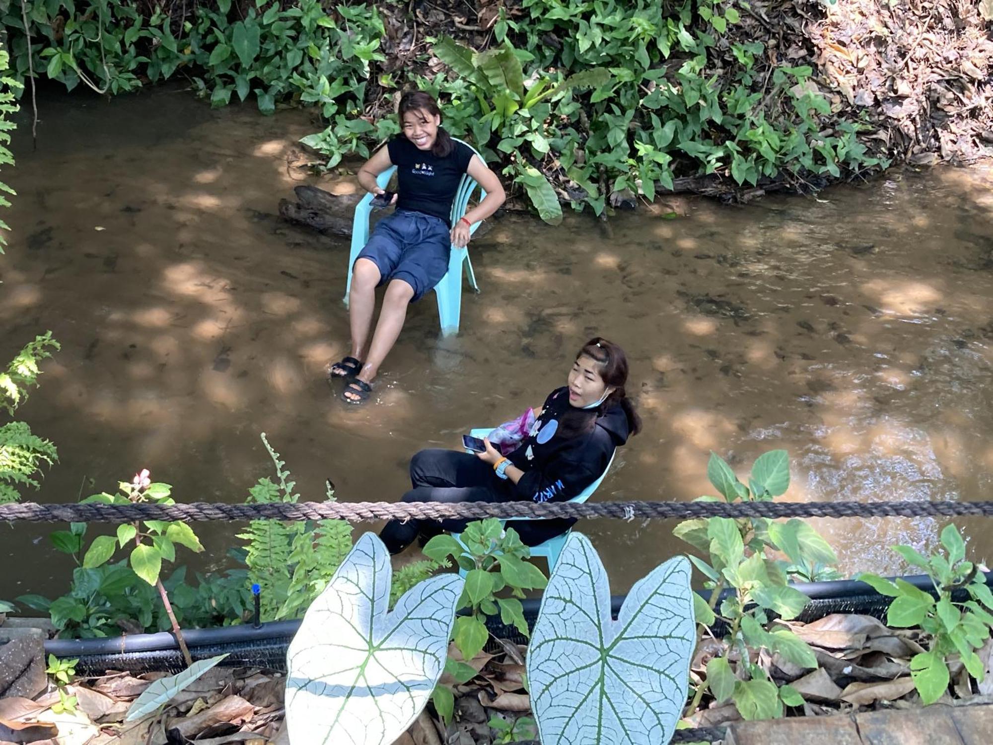 Maesa Greenery Hill Sha Mae Rim Luaran gambar