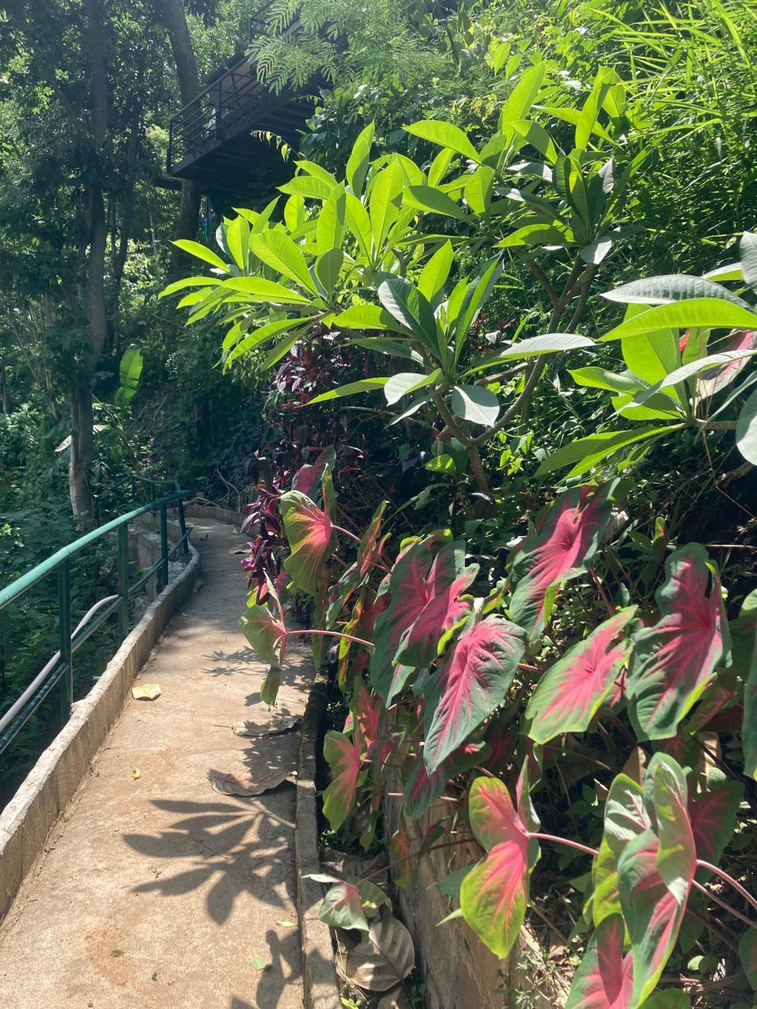 Maesa Greenery Hill Sha Mae Rim Luaran gambar